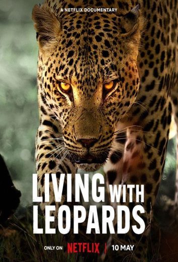 فيلم Living with Leopards 2024 مترجم