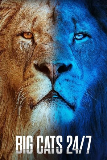 مسلسل Big Cats 24/7 الموسم الاول الحلقة 6 الاخيرة مترجمة